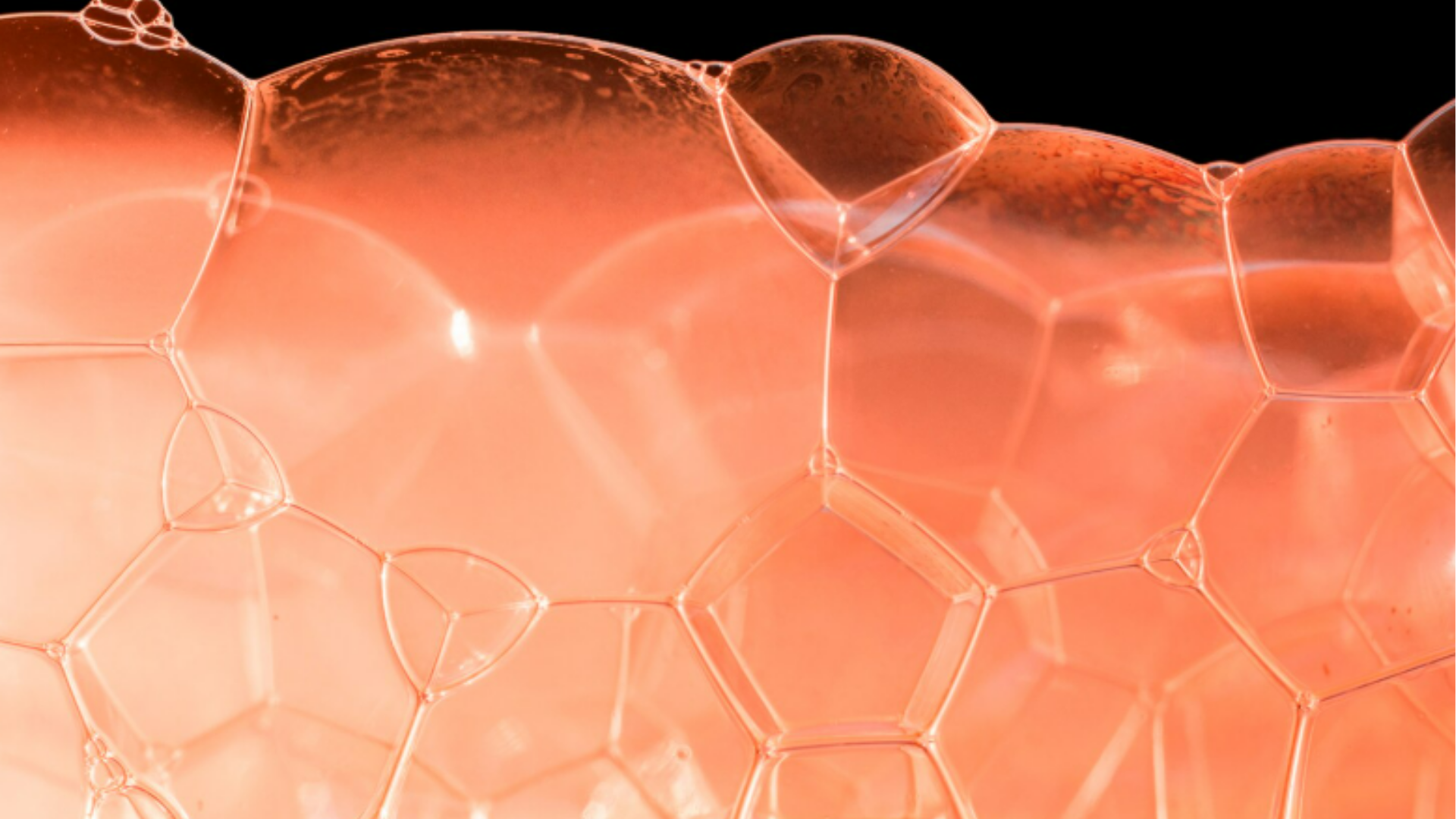 Bioestimuladores de colágeno | Dra. Letícia Fachinelli